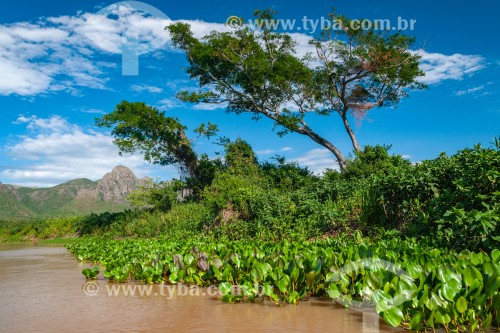 Vista do Rio Paraguai com a Serra do Amolar ao fundo - Corumbá - Mato Grosso do Sul (MS) - Brasil