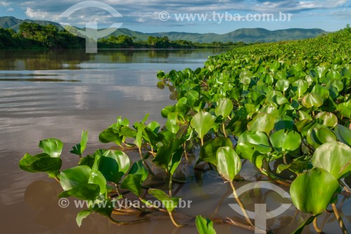 Vista do Rio Paraguai com a Serra do Amolar ao fundo - Corumbá - Mato Grosso do Sul (MS) - Brasil