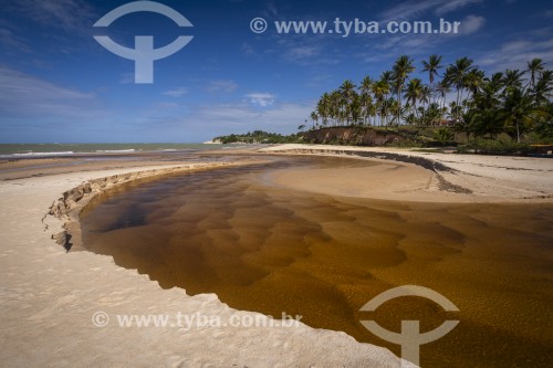 Foz de rio e praia deserta - Praia do Imbassuaba - Prado - Bahia (BA) - Brasil