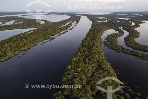 Foto feita com drone de ilhas fluviais - Parque Nacional de Anavilhanas  - Novo Airão - Amazonas (AM) - Brasil