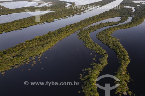 Foto feita com drone de ilhas fluviais - Parque Nacional de Anavilhanas  - Novo Airão - Amazonas (AM) - Brasil