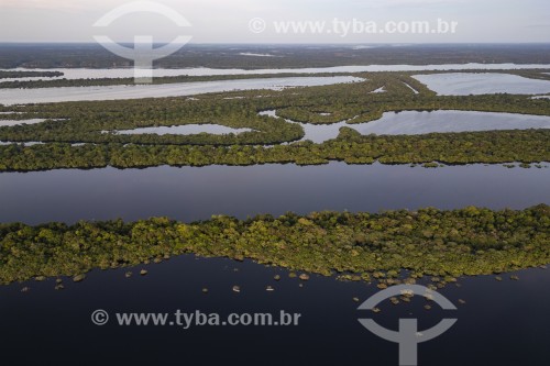 Foto feita com drone de ilhas fluviais - Parque Nacional de Anavilhanas  - Novo Airão - Amazonas (AM) - Brasil