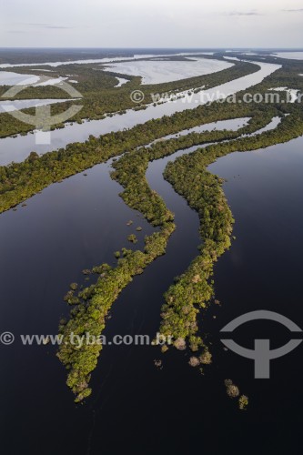 Foto feita com drone de ilhas fluviais - Parque Nacional de Anavilhanas  - Novo Airão - Amazonas (AM) - Brasil