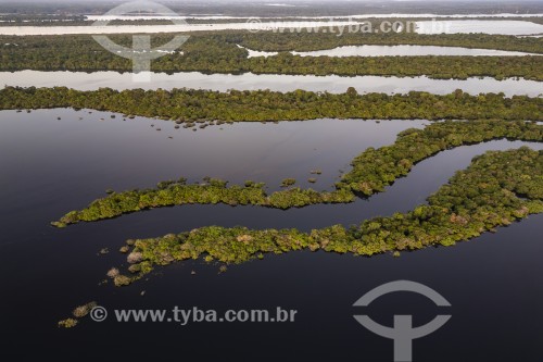 Foto feita com drone de ilhas fluviais - Parque Nacional de Anavilhanas  - Novo Airão - Amazonas (AM) - Brasil