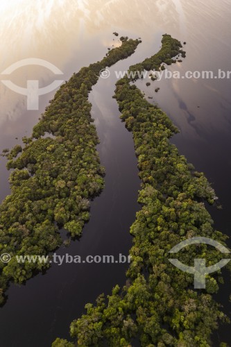 Foto feita com drone de ilhas fluviais - Parque Nacional de Anavilhanas  - Novo Airão - Amazonas (AM) - Brasil