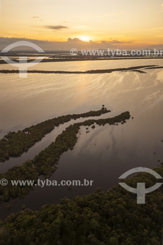 Foto feita com drone de ilhas fluviais - Parque Nacional de Anavilhanas  - Novo Airão - Amazonas (AM) - Brasil