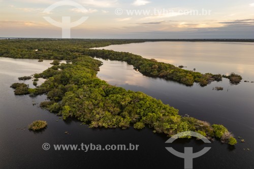 Foto feita com drone de ilhas fluviais - Parque Nacional de Anavilhanas  - Novo Airão - Amazonas (AM) - Brasil