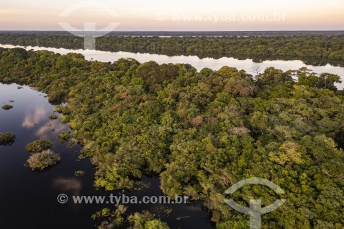 Foto feita com drone de ilhas fluviais - Parque Nacional de Anavilhanas  - Novo Airão - Amazonas (AM) - Brasil