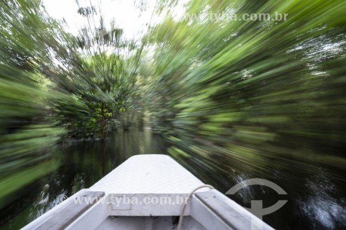 Canoa em igapó no Parque Nacional de Anavilhanas  - Manaus - Amazonas (AM) - Brasil