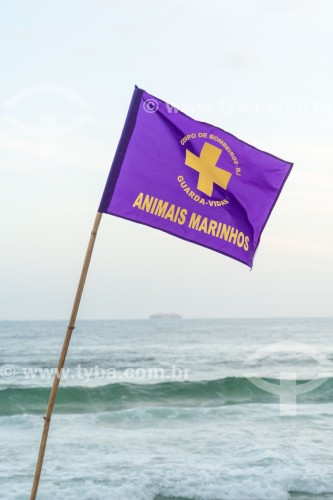 Bandeira do Corpo de Bombeiros indicadora da presença de animais marinhos durante a visita do Lobo-marinho apelidado de Joca - Rio de Janeiro - Rio de Janeiro (RJ) - Brasil
