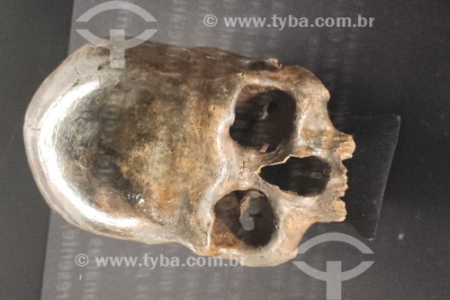 Crânio do Homem de Lagoa Santa coletado na expedição de paleontologia e arqueologia de Peter Lund - 1835-1845 - Acervo Instituto Histórico e Geográfico Brasileiro (IHGB) - Rio de Janeiro - Rio de Janeiro (RJ) - Brasil