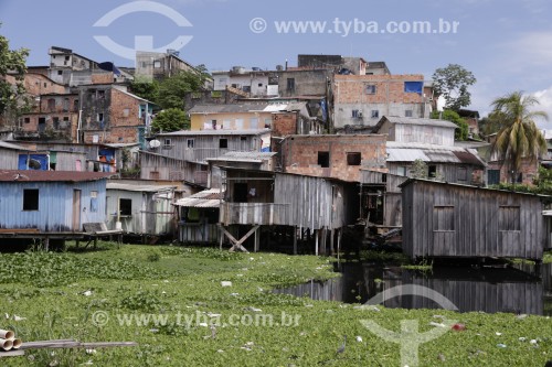 Casas de palafita - Manaus - Amazonas (AM) - Brasil