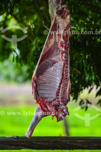 Gaúcho carneando ovelha - Erval Seco - Rio Grande do Sul (RS) - Brasil