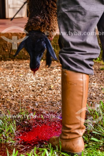 Gaúcho carneando ovelha - Erval Seco - Rio Grande do Sul (RS) - Brasil