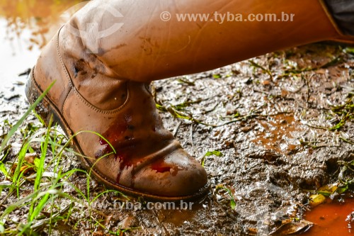 Gaúcho carneando ovelha - Erval Seco - Rio Grande do Sul (RS) - Brasil