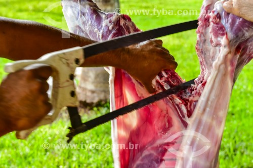 Gaúcho carneando ovelha - Erval Seco - Rio Grande do Sul (RS) - Brasil