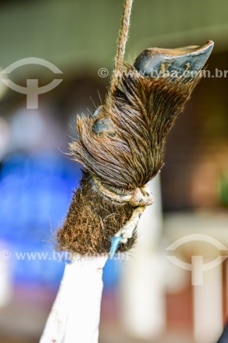 Gaúcho carneando ovelha - Erval Seco - Rio Grande do Sul (RS) - Brasil