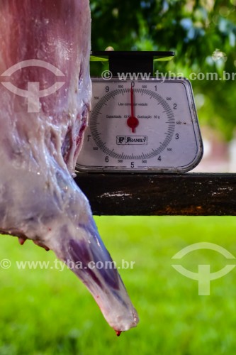 Gaúcho carneando ovelha - Erval Seco - Rio Grande do Sul (RS) - Brasil