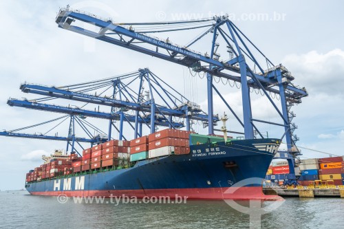 Navios cargueiros atracados no Porto de Paranaguá - Paranaguá - Paraná (PR) - Brasil