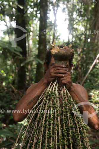 Homem ribeirinho segurando cacho de açaí - Manacapuru - Amazonas (AM) - Brasil