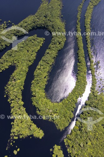 Foto feita com drone de ilhas fluviais - Parque Nacional de Anavilhanas  - Novo Airão - Amazonas (AM) - Brasil
