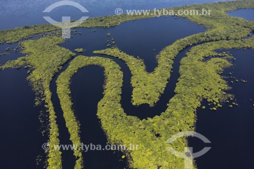 Foto feita com drone de ilhas fluviais - Parque Nacional de Anavilhanas  - Novo Airão - Amazonas (AM) - Brasil