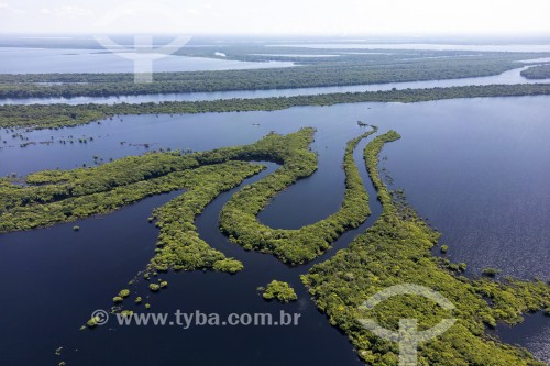 Foto feita com drone de ilhas fluviais - Parque Nacional de Anavilhanas  - Novo Airão - Amazonas (AM) - Brasil