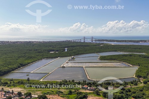 Foto feita com drone de tanques de criação de camarão em manguezal do Rio Potengi com a cidade ao fundo - Natal - Rio Grande do Norte (RN) - Brasil