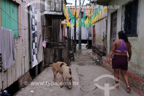 Casas de palafita com decoração para a Copa do Mundo 2026 - Manaus - Amazonas (AM) - Brasil