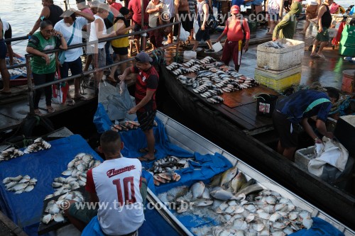 Comércio de pescado no Porto de Manaus - Manaus - Amazonas (AM) - Brasil