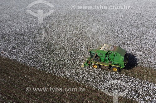 Foto feita com drone de colheita mecanizada de algodão - colheitadeira de fuso realiza a catação e o enfardamento do algodão - Chapadão do Céu - Goiás (GO) - Brasil