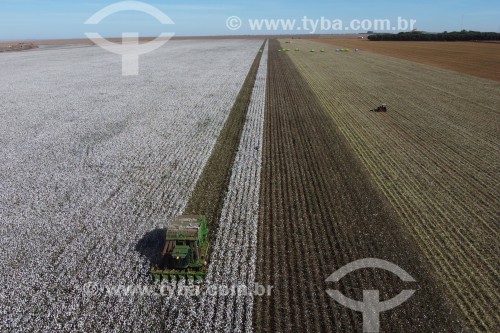 Foto feita com drone de colheita mecanizada de algodão - colheitadeira de fuso realiza a catação e o enfardamento do algodão - Chapadão do Céu - Goiás (GO) - Brasil