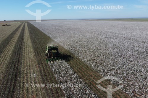 Foto feita com drone de colheita mecanizada de algodão - colheitadeira de fuso realiza a catação e o enfardamento do algodão - Chapadão do Céu - Goiás (GO) - Brasil