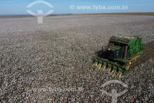 Foto feita com drone de colheita mecanizada de algodão - colheitadeira de fuso realiza a catação e o enfardamento do algodão - Chapadão do Céu - Goiás (GO) - Brasil