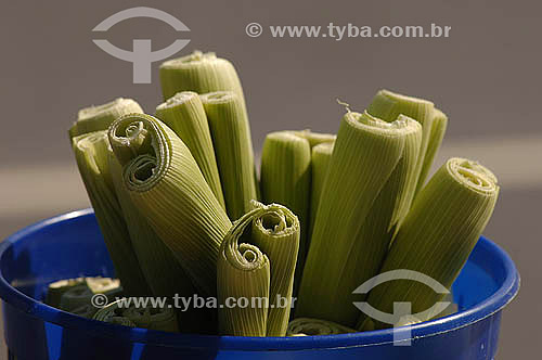  Ears of corn (Corn-cobs) 