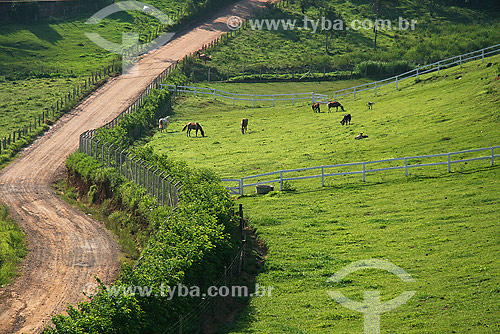  Dirt road - Itapeva region - Minas Gerais state - Brazil 