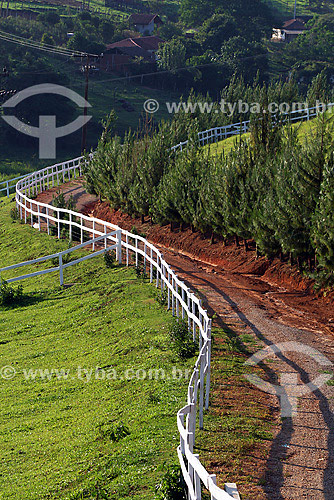  Dirt road - Itapeva region - Minas Gerais state - Brazil 