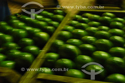  Municipal Market of Sao Paulo city - lemon boxes - Sao Paulo state - Brazil 