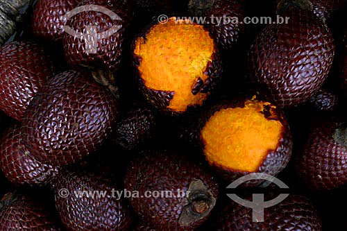  Close up of Buritis fruits - Ver-o-Peso Market (See the Weight Market) - Belem city - Para state - Brazil 