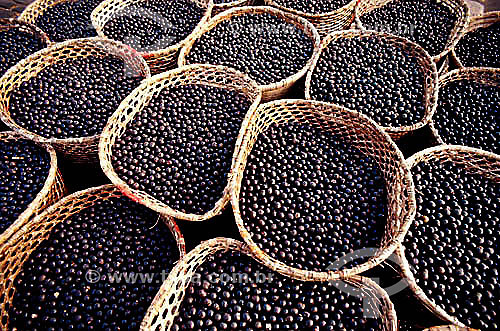 (Euterpe oleracea) Fruit - Baskets full of açai fruit in the 