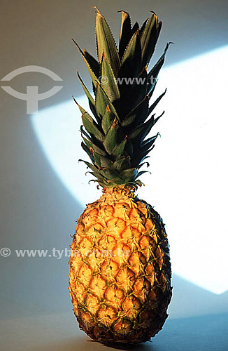  Pineapple - Brazil 