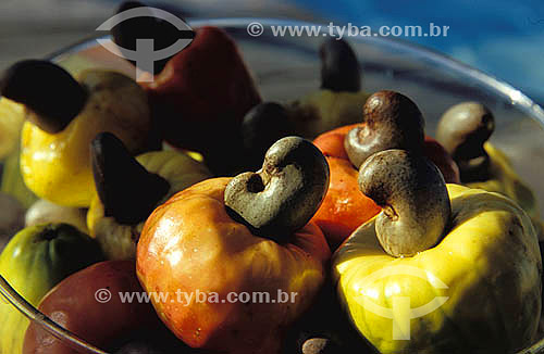  Fruit - Cashew - 2004 