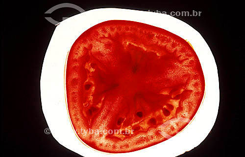  Detail of a tomato 