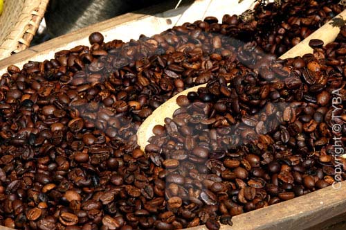  Coffee grains 