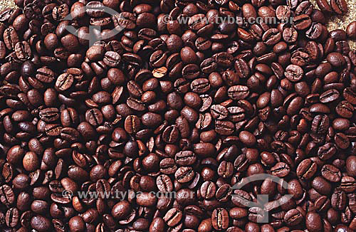  Coffee grains 