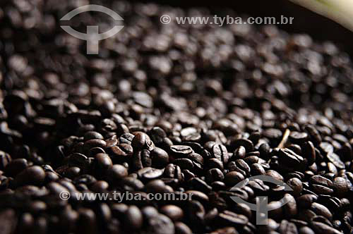  Coffee beans - Agriculture - Brazil 