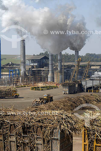  Sugarcane processing plant - Costa Pinto Plant - Piracicaba region - Sao Paulo state - Brazil 