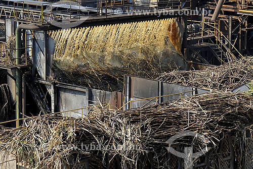  Sugarcane processing plant - Costa Pinto Plant - Piracicaba region - Sao Paulo state - Brazil 