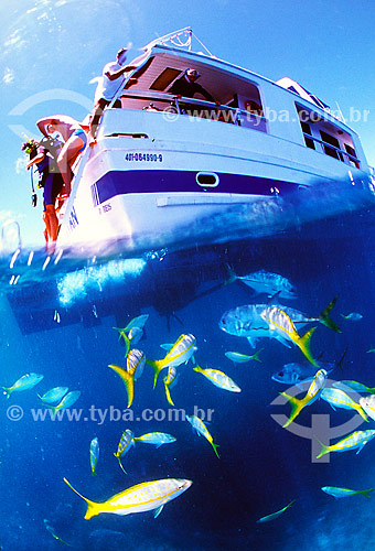  Shoal and boat in Abrolhos region - Bahia state - Brazil 