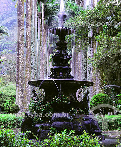  Botanic Garden* - Rio de Janeiro city - Rio de Janeiro state - Brazil  * It is a National Historic Site since 05-30-1938. 